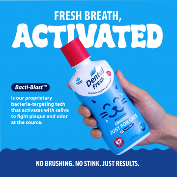 Dental Fresh Water Additive Original Formula for Cats 80oz